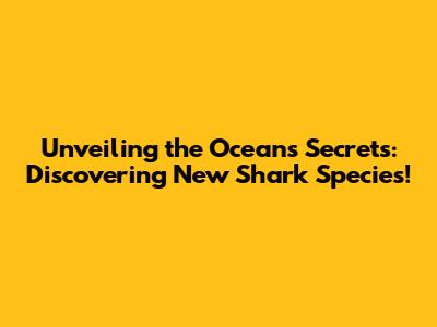 Unveiling the Ocean's Secrets: Discovering New Shark Species!