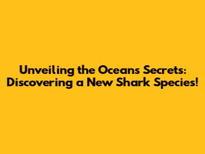 Unveiling the Ocean's Secrets: Discovering a New Shark Species!