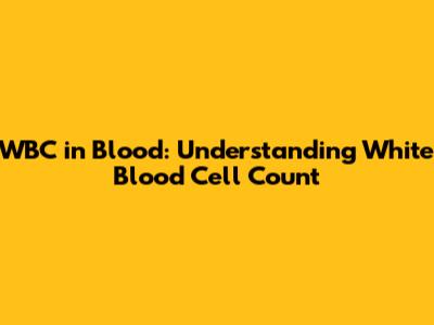 WBC in Blood: Understanding White Blood Cell Count