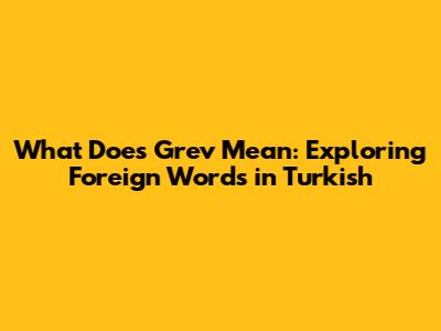 What Does 'Grev' Mean: Exploring Foreign Words in Turkish