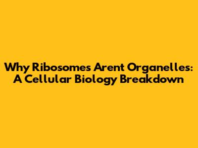 Why Ribosomes Aren't Organelles: A Cellular Biology Breakdown
