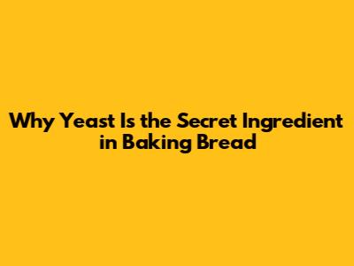 Why Yeast Is the Secret Ingredient in Baking Bread
