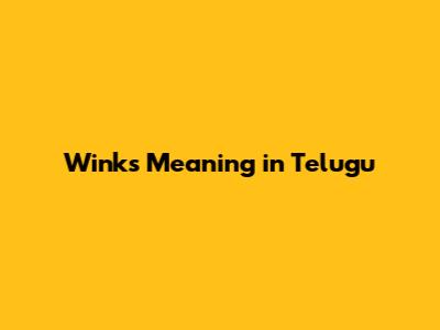 Winks Meaning in Telugu