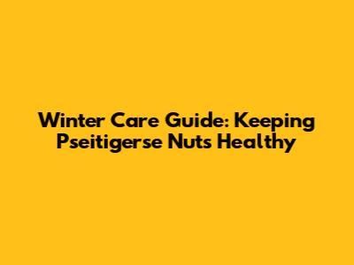 Winter Care Guide: Keeping Pseitigerse Nuts Healthy