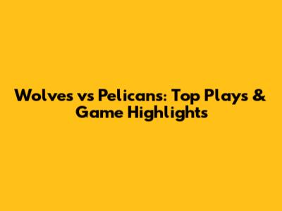 Wolves vs Pelicans: Top Plays & Game Highlights
