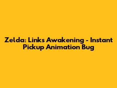 Zelda: Link's Awakening - Instant Pickup Animation Bug