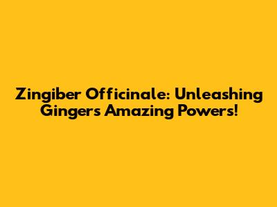 Zingiber Officinale: Unleashing Ginger's Amazing Powers!